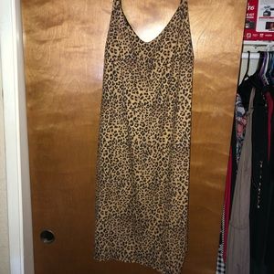 Charlotte Russe plus cheetah dress! 3x NWT